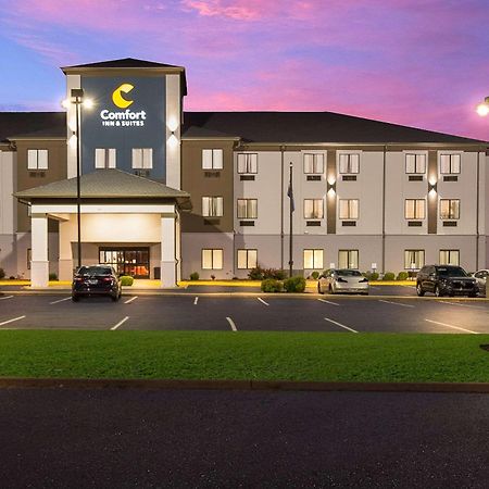 קייב סיטי Comfort Inn & Suites מראה חיצוני תמונה
