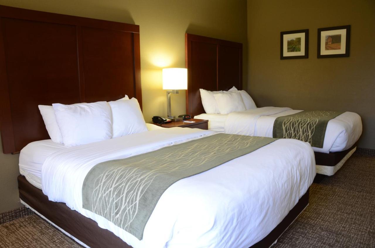 קייב סיטי Comfort Inn & Suites מראה חיצוני תמונה